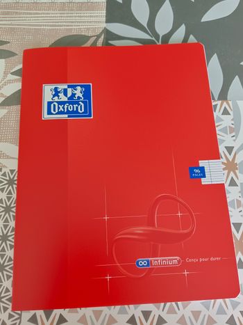 Cahier 17x22 grands carreaux 96 pages
