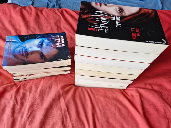 Vampire Diaries les livres de la saga - photo numéro 6