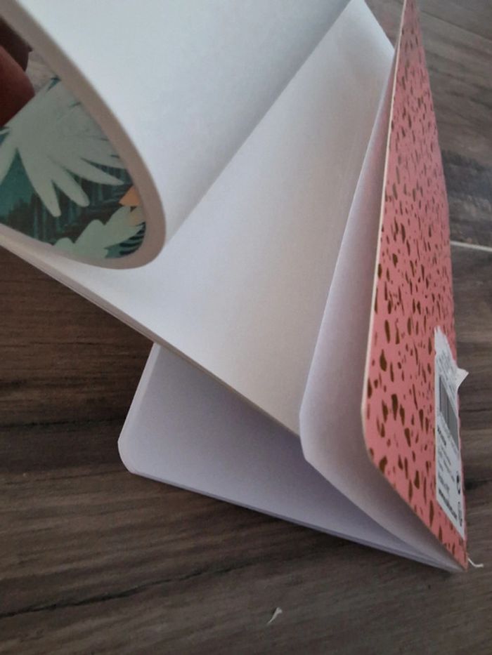 Lot de 2 carnets - photo numéro 3