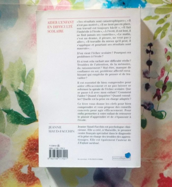 Aider l'enfant en difficulté scolaire par Jeanne Siaud-Facchin - photo numéro 3