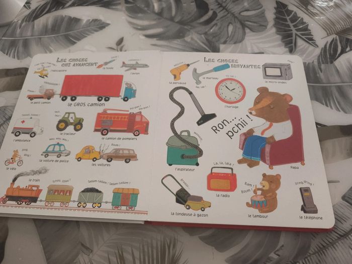 Album le livre des choses - photo numéro 3