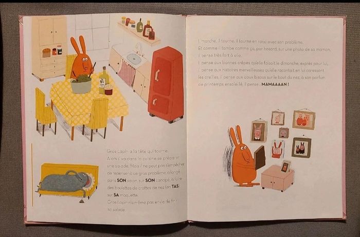 Livre Gros lapin - photo numéro 3