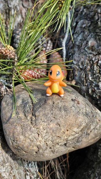 Super figurine Pokemon salameche Métamorph