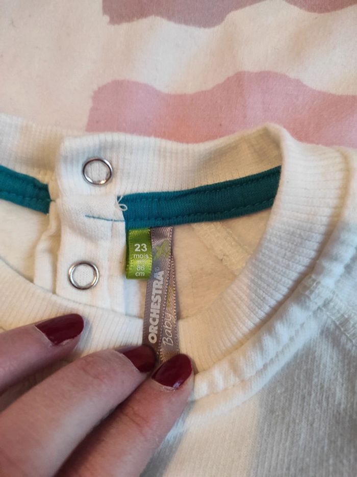 Pull orchestra 18m tbe - photo numéro 4