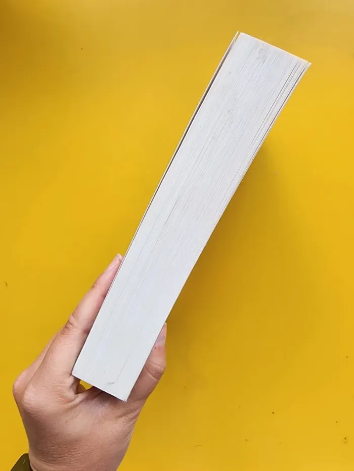 Livre broché "on se souvient du nom des assassins" de Dominique Maisons - photo numéro 5