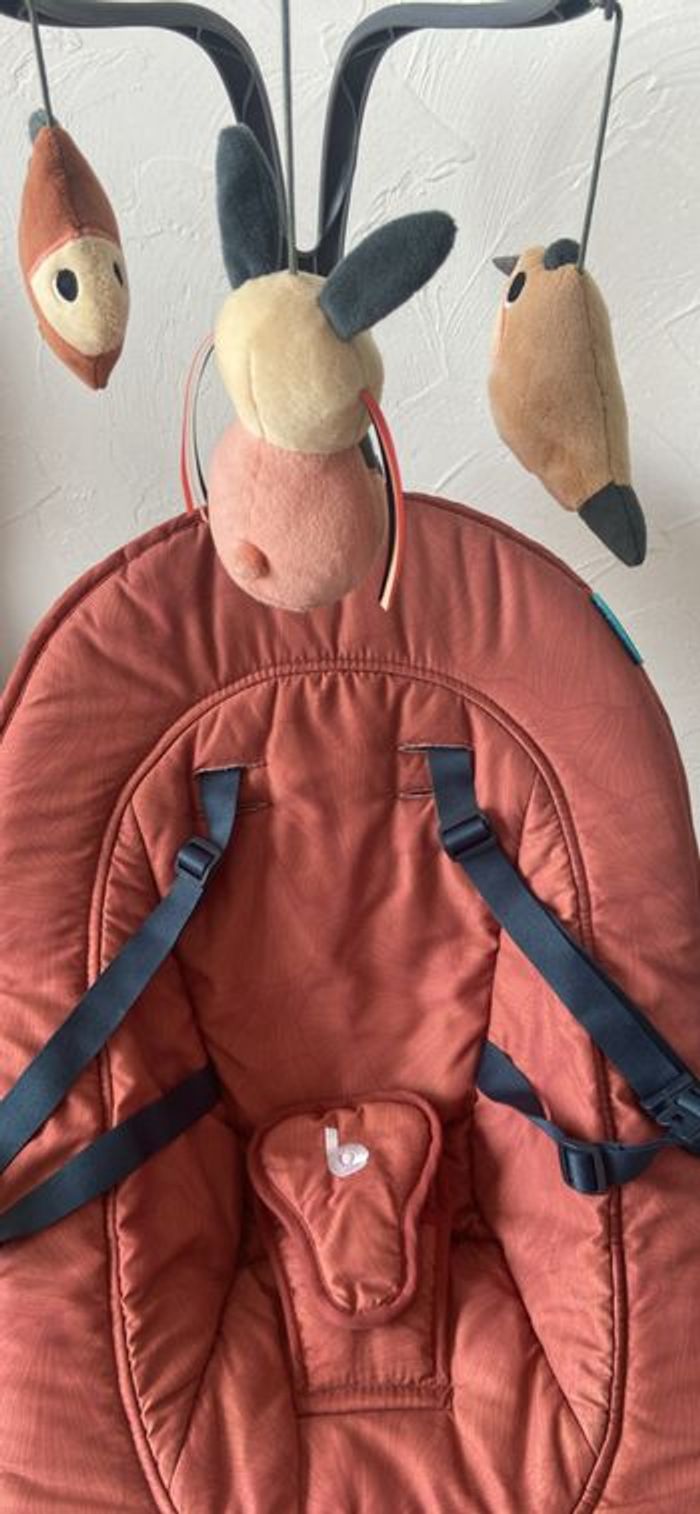 Vend balancelle bébé babymoov - photo numéro 8