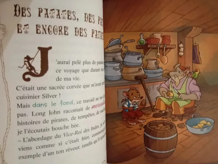 Geronimo Stilton : l'île au trésor - photo numéro 4