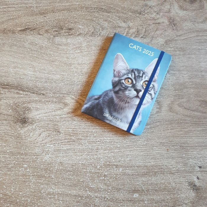 ⭐ Calendrier 2025 #emyfleury_calendriers - photo numéro 2