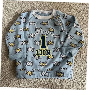 Pull sweat dessin tigre 🐯 taille 24 mois Petit Bateau