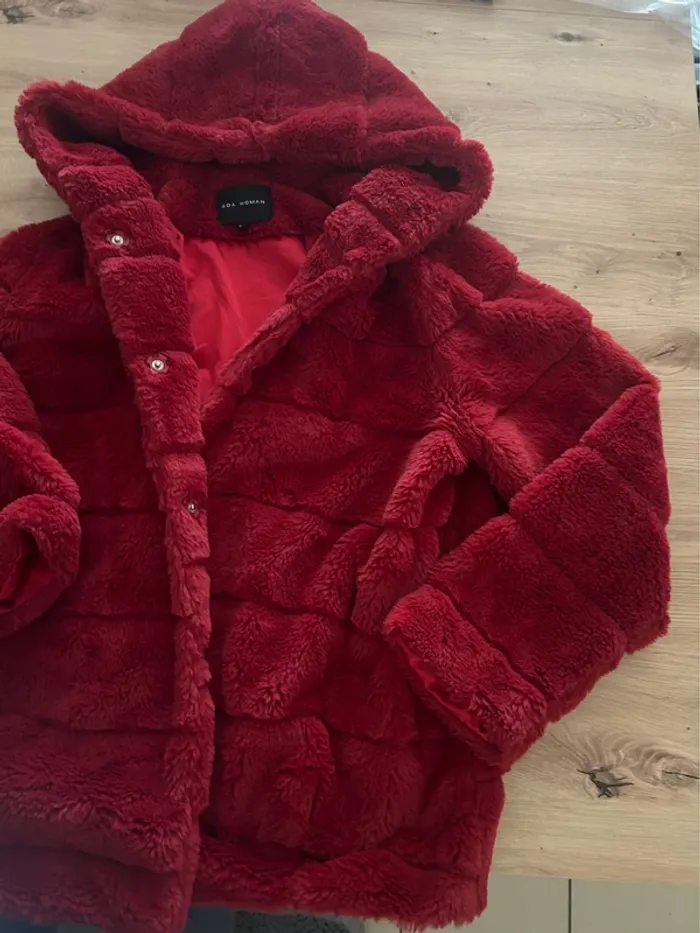 Manteau hiver - photo numéro 2
