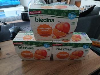 COMPOTE POMME ORANGE ACEROLA BLEDINA