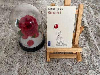 Livre Où est-tu ? De Marc Levy