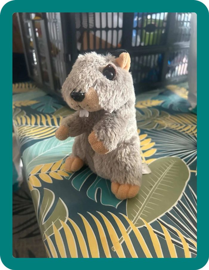 Marmotte qui chante, musique enfant neige - photo numéro 2