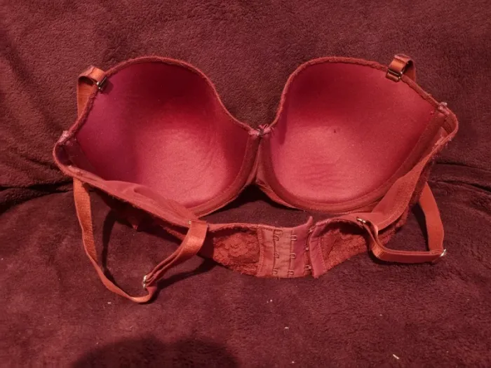 Soutien gorge - photo numéro 2