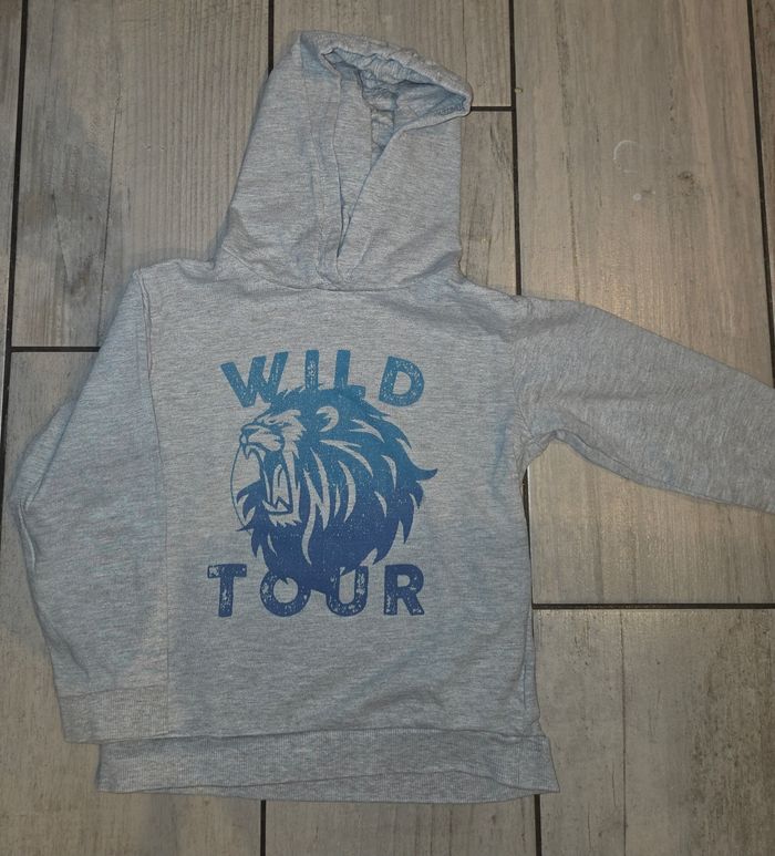 Lot pull - photo numéro 4