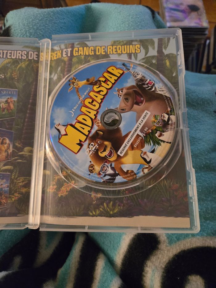 Madagascar - photo numéro 3