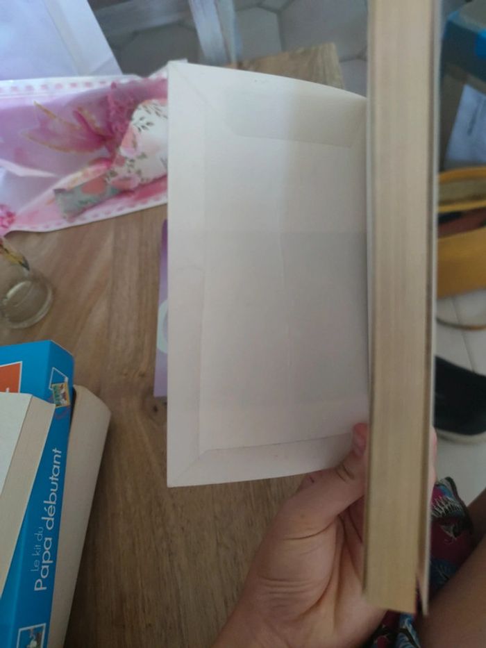 Pierre et Jean, Maupassant - photo numéro 3