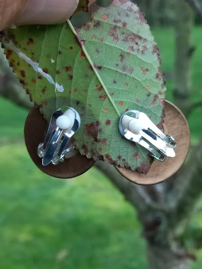 Boucles d'oreilles fantaisie a clip - photo numéro 3