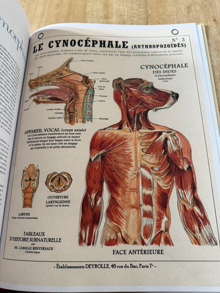 Plume de Carotte Créatures fantastiques Deyrolle livre grand album encyclopédie - photo numéro 7