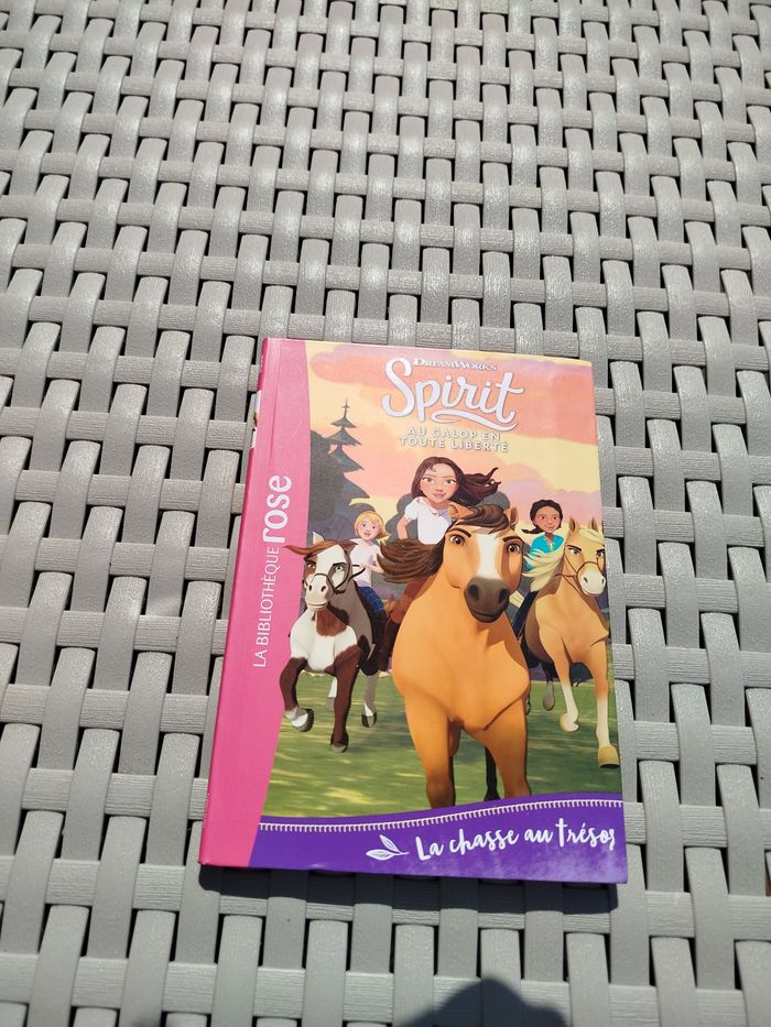 Spirit "La chasse au trésor"