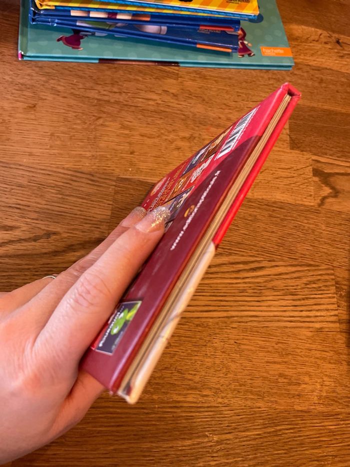 Livre Collection Pourquoi Gabin Le chien - photo numéro 6