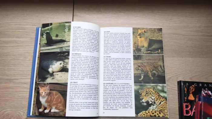 Livre la première encyclopédie des animaux - photo numéro 3