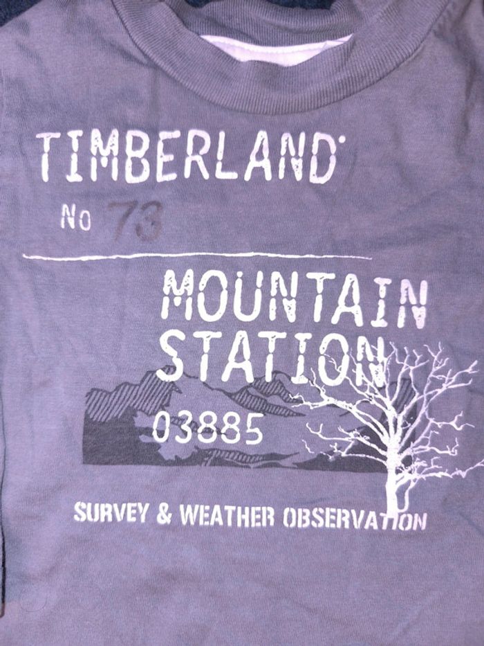 Tee-shirt Timberland - photo numéro 2
