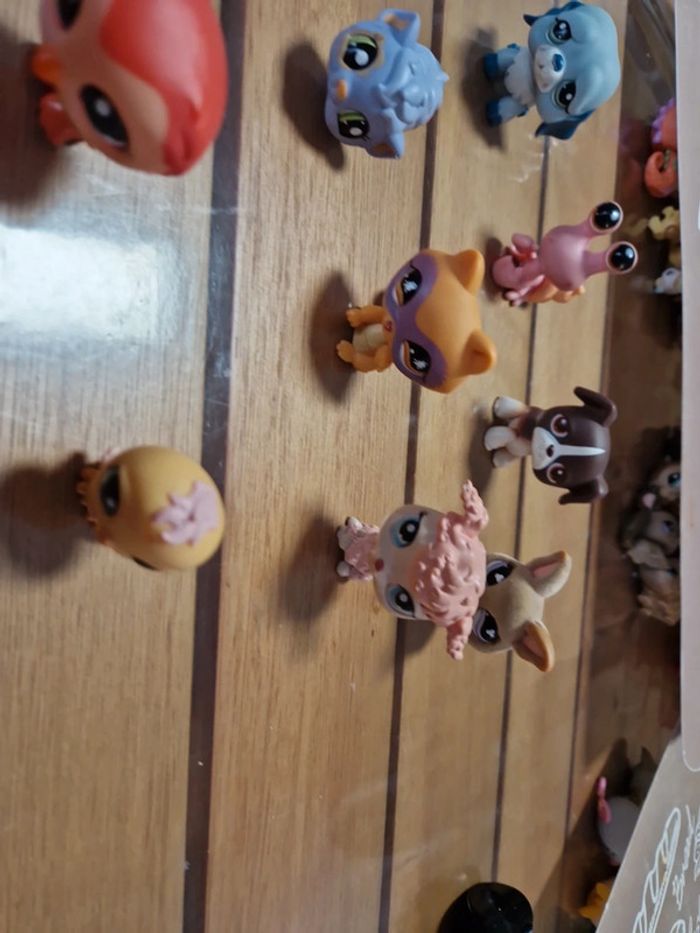 Lot Petshop (1) - photo numéro 5
