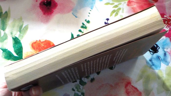 LES CERFS-VOLANTS DE KABOUL de Khaled HOSSEINI Ed. Belfond - photo numéro 4