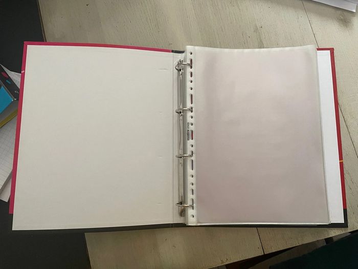 Très beau classeur avec fiches plastifiées - photo numéro 3