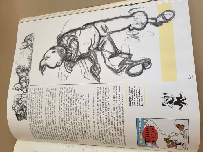 HERGE et TINTIN REPORTERS - NEUF - photo numéro 8