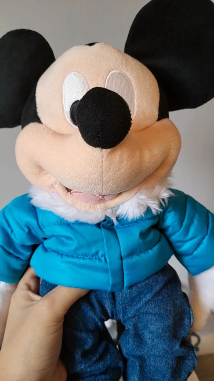 Mickey et Minnie 2011 - photo numéro 8