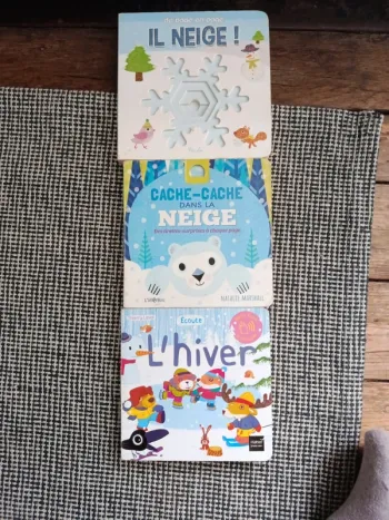 3 livres sur l'hiver