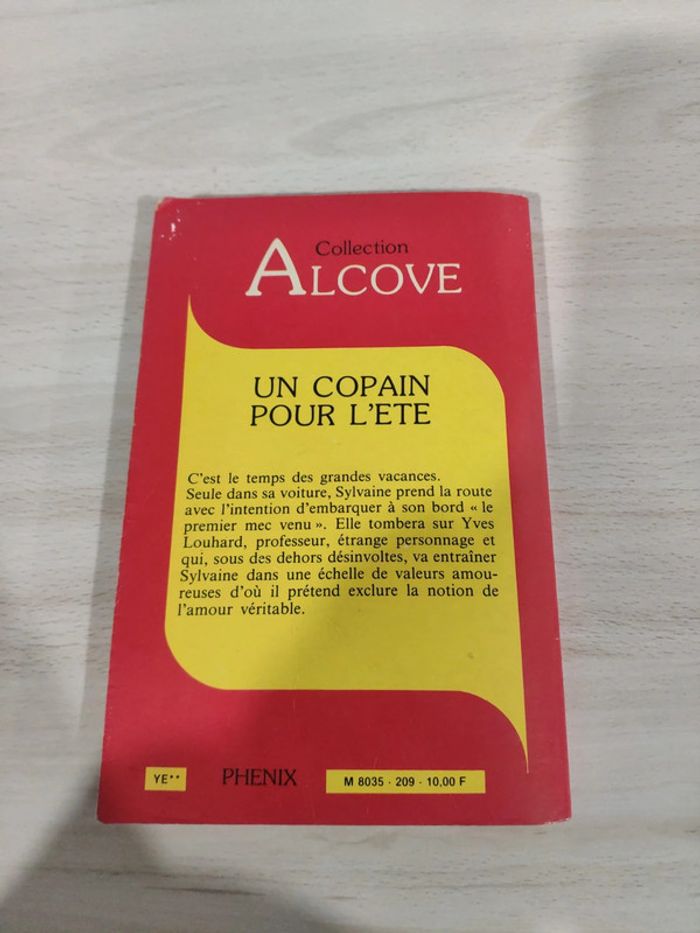 Livre poche érotique Un copain pour l'été Nalek collection Alcove adultes public averti - photo numéro 5