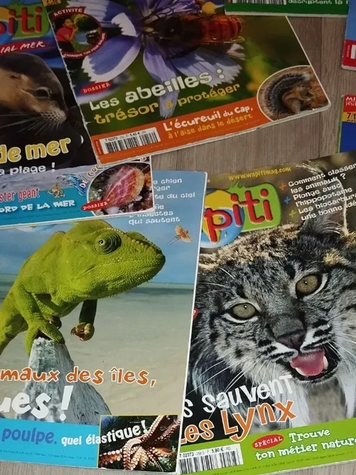 Lot de 7 magazines Wapiti année 2008 L024 - photo numéro 8