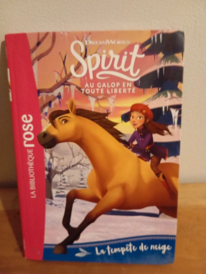 Livre spirit tome  tome 4 la tempête