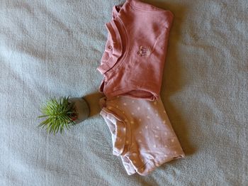 Lot 2 bodies
