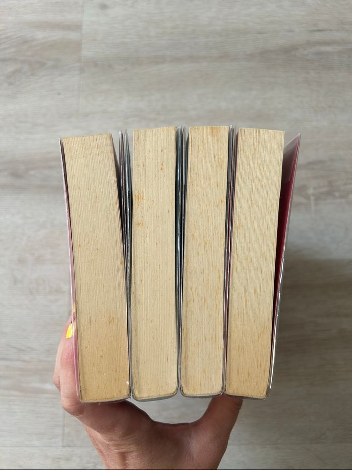 Saga de 4 livres Rose - Holly Webb - photo numéro 4