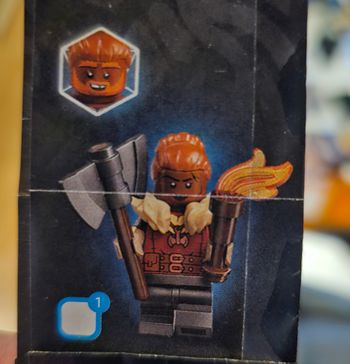 Minifigures Séries Donjons & Dragons