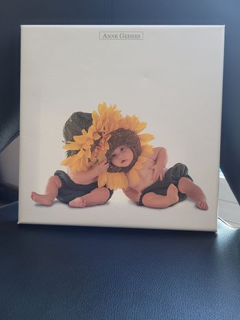 Tableau Bébés Anne Geddes