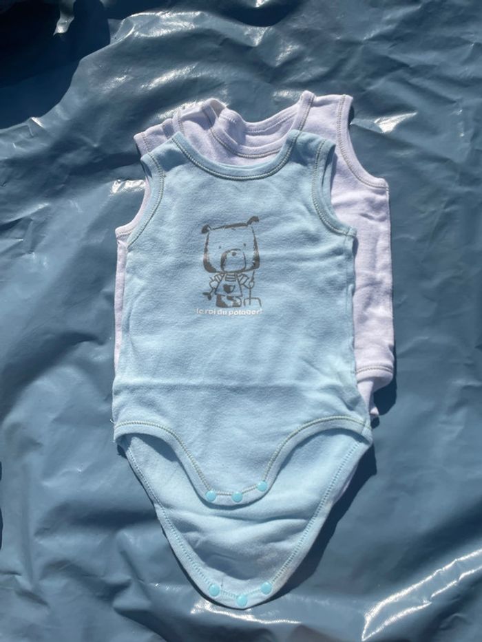 Lot vêtements bodys 24 mois - photo numéro 9