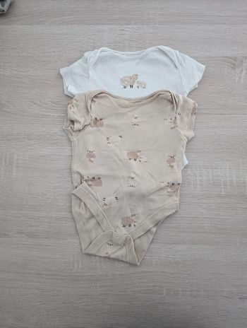Lot 2 bodies 6 mois