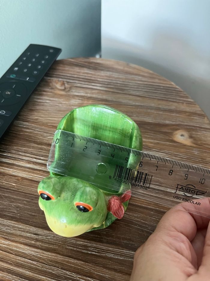 Grenouille 🐸 - photo numéro 8