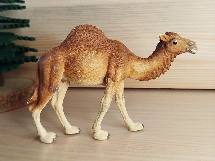 Schleich dromadaire femelle figurine Animal du désert - photo numéro 2