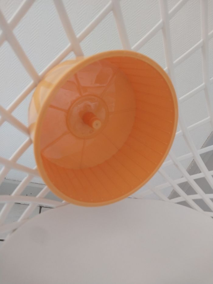 Roue d’exercice hamster/souris – NEUVE - photo numéro 3