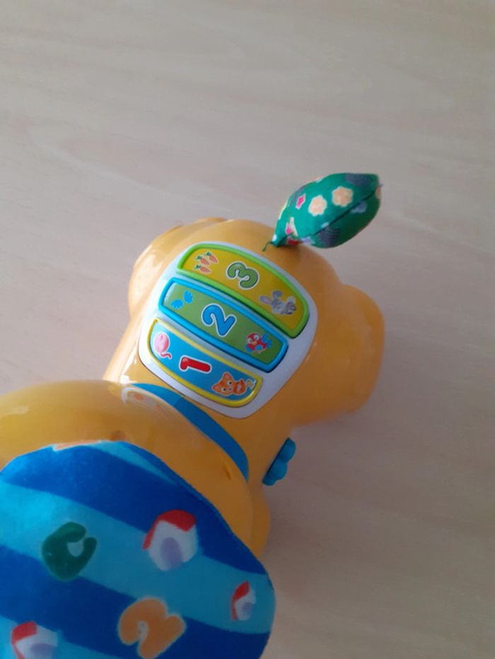 Chien Caché-Coucou - photo numéro 2