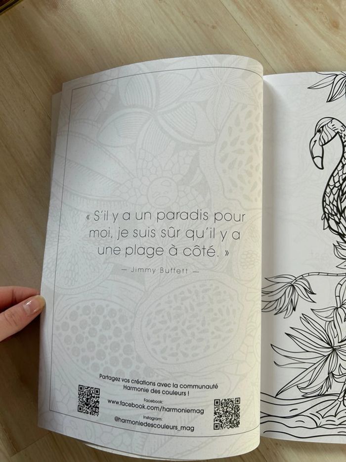 Livre de coloriage - photo numéro 2