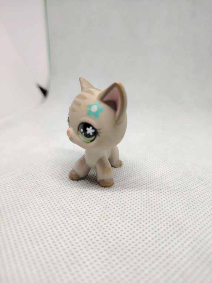 Petshop Littlest petshop chat européen #483 - photo numéro 4