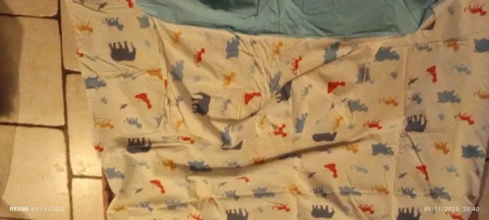 housse de couette et housse oreiller kyon - photo numéro 4