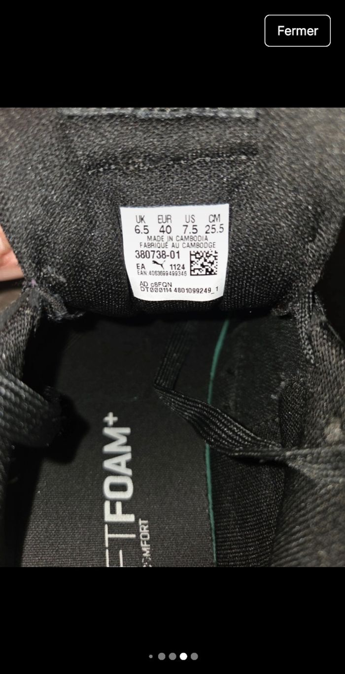 Puma - photo numéro 5